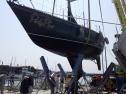 RIMG5916