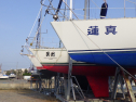 RIMG6083