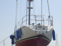 RIMG4895