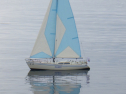 RIMG6021