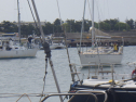 RIMG4913