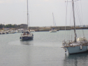 RIMG4928