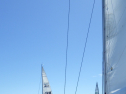 RIMG6287