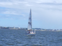 RIMG6290