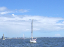 RIMG6292