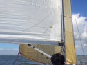 RIMG6296