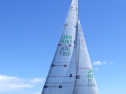 RIMG6309