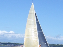 RIMG6311