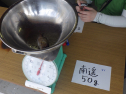 RIMG6435