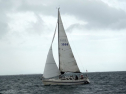 DSC00195