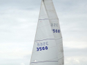 DSC00217