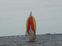 DSC00229
