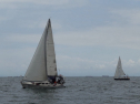 DSC00236