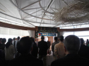 IMG_7801ac.jpg