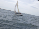 RIMG4295.JPG