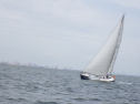 RIMG4377.JPG