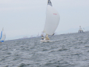 RIMG4395.JPG