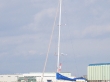 RIMG5090.JPG