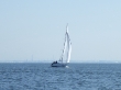 RIMG5108.JPG