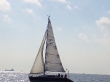 RIMG5109.JPG