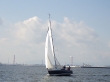 RIMG5116.JPG