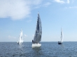 RIMG5119.JPG