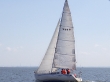 RIMG5123.JPG