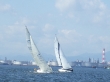 RIMG5126.JPG