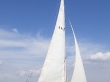 RIMG5127.JPG