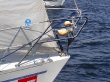 RIMG5130.JPG