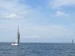 RIMG5134.JPG