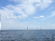 RIMG5136.JPG