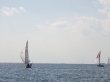 RIMG5137.JPG