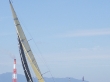 RIMG5144.JPG