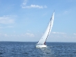 RIMG5146.JPG