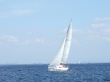 RIMG5153.JPG