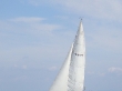 RIMG5154.JPG