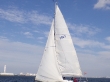 RIMG5155.JPG