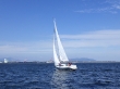 RIMG5156.JPG