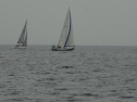 DSC01948