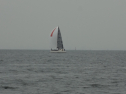 DSC01953