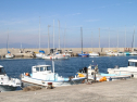 IMG_3090.jpg