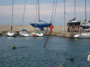 IMG_7406.jpg