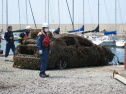 IMG_7418.jpg