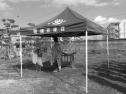 P1020156.jpg
