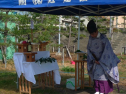 P1020167.jpg