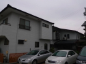 P1020194.jpg