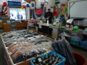 P1020206.jpg
