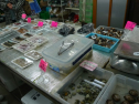 P1020209.jpg