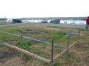 P1020216.jpg